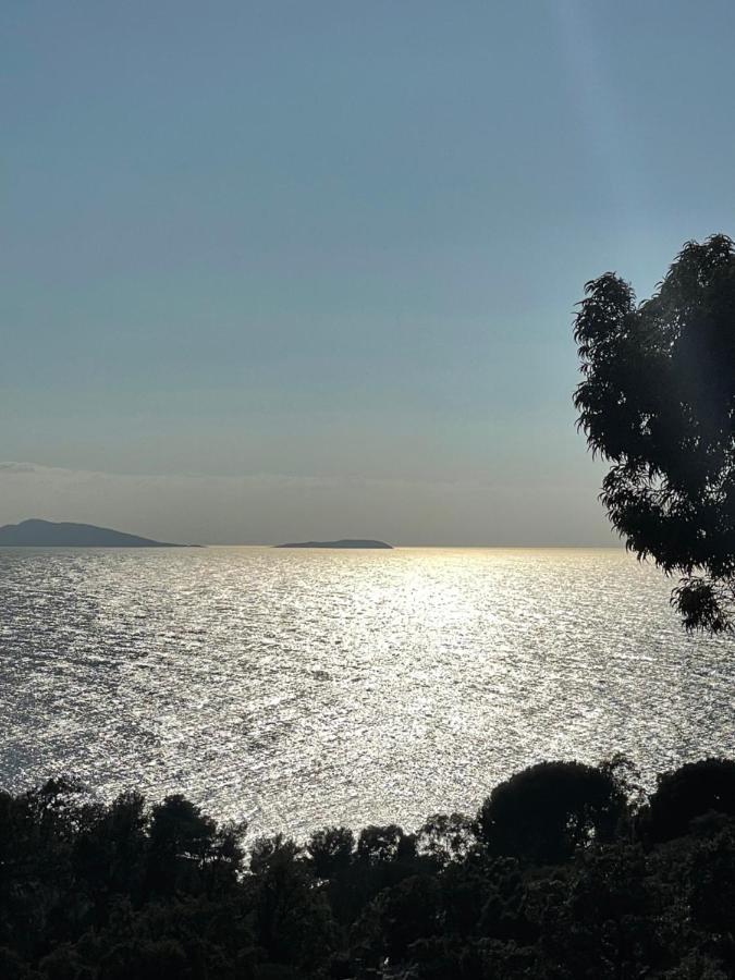 Exceptionnel Vue Refait A Neuf Appartement Le Rayol-Canadel-sur-Mer