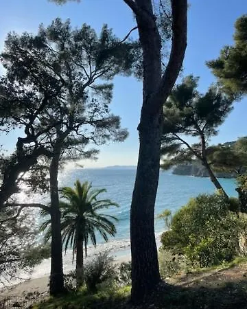 Exceptionnel Studio Vue Mer Refait A Neuf Le Le Rayol-Canadel-sur-Mer Extérieur photo