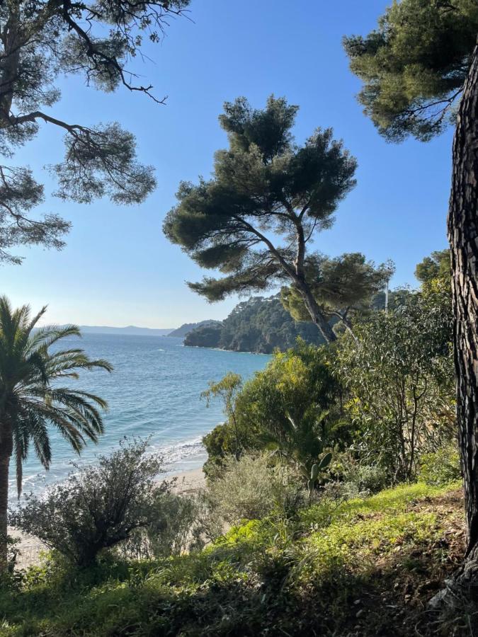 Exceptionnel Vue Refait A Neuf * Le Rayol-Canadel-sur-Mer